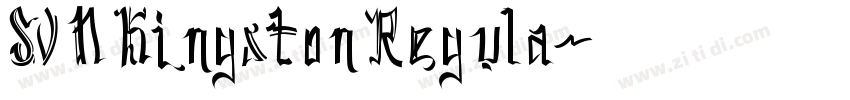 SVN Kingston Regula字体转换